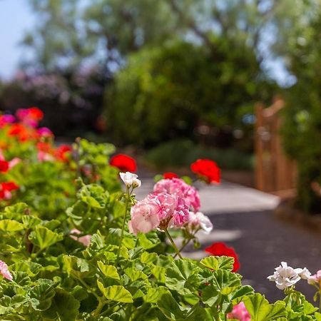 Son Serra Beach Front Line House Son Serra de Marina Exterior foto